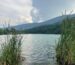 DIvljansko jezero Bela Palanka